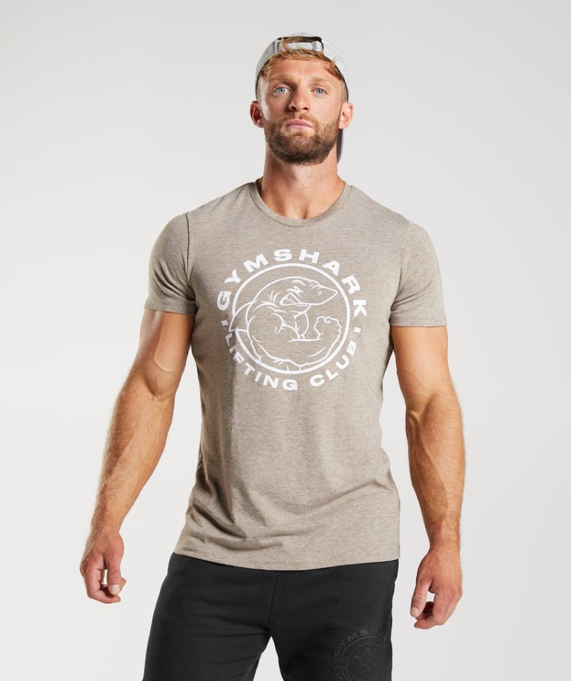 Men\'s Gymshark Legacy T-Shirts Grey | NZ 0ESVTN